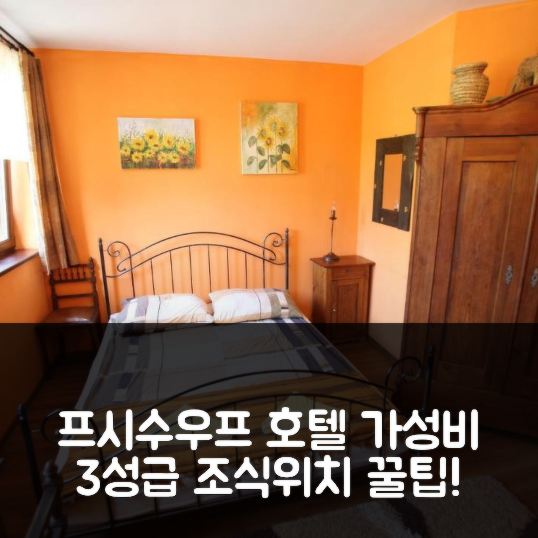 프시수우프 숙소 여행 호텔 추천 시드리스코 브르제지니악 | 가성비 뛰어난 3성급 조식과 위치 좋은 예약 팁 5가지