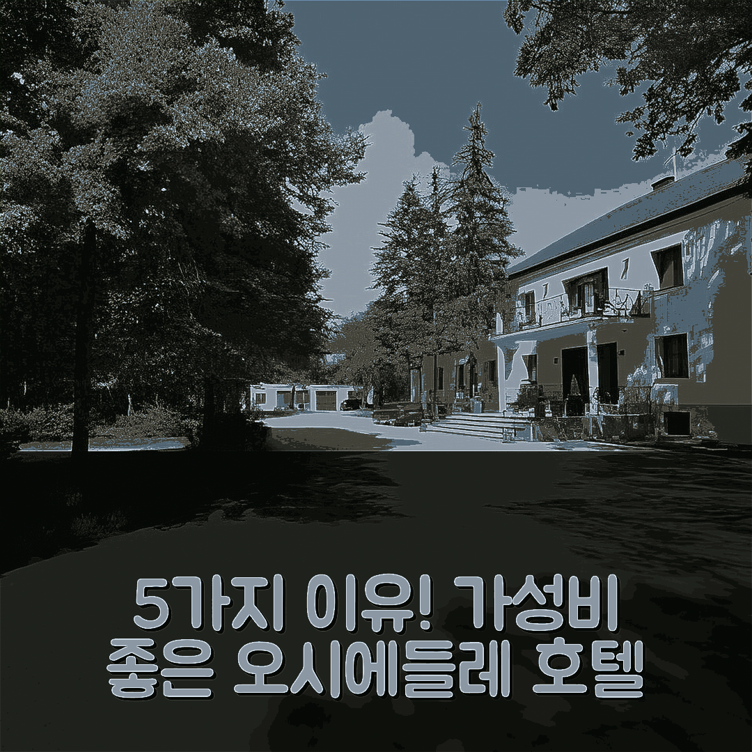 오시에들레 빌가 숙소 여행 호텔 추천 파크 레크르에이시노-비즈네소위 라스 보다 | 조식과 수영장, 가성비 좋은 5가지 이유