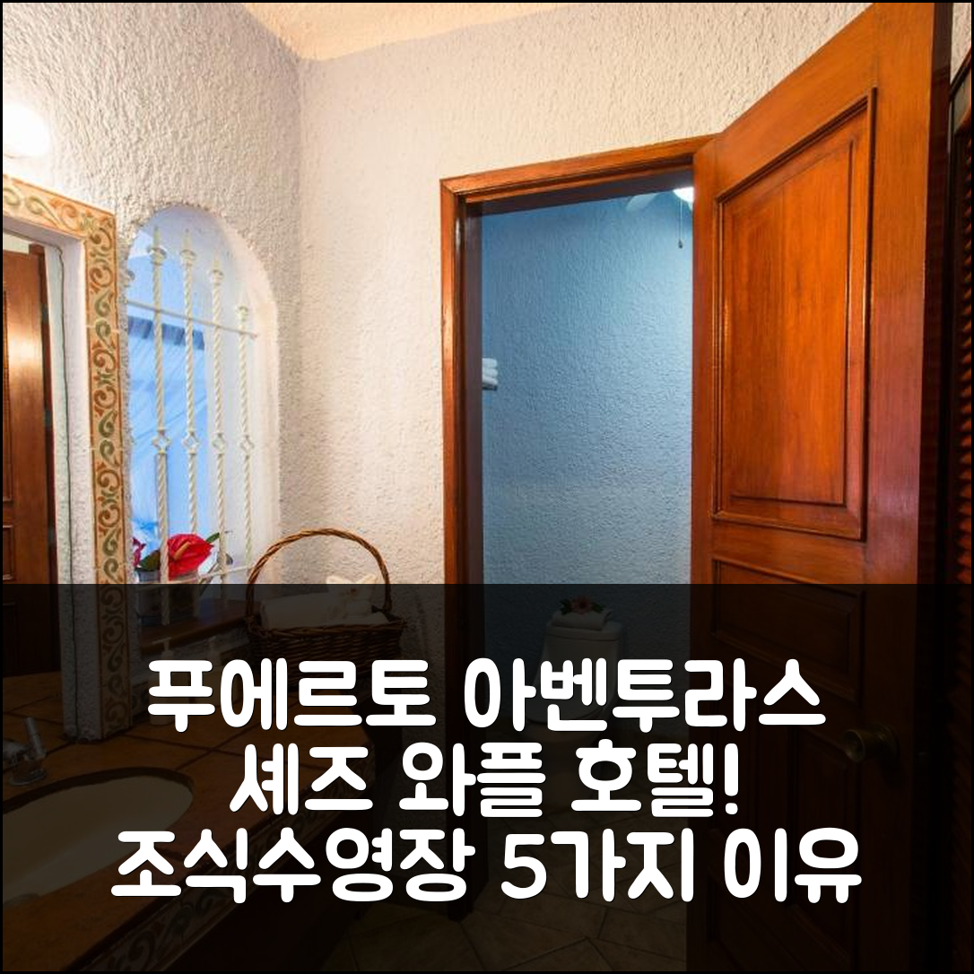 푸에르토 아벤투라스 숙소 여행 호텔 추천 셰즈 와플 호텔 | 조식과 수영장 즐기는 5가지 이유