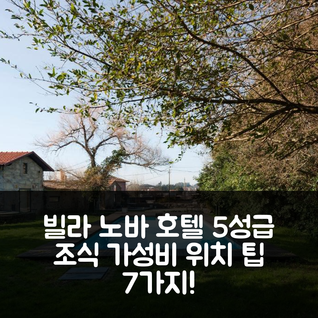 빌라 노바 드 가이아 숙소 여행 호텔 추천 카사 두 소베이루 | 5성급 조식과 가성비 최고의 위치 팁 7가지