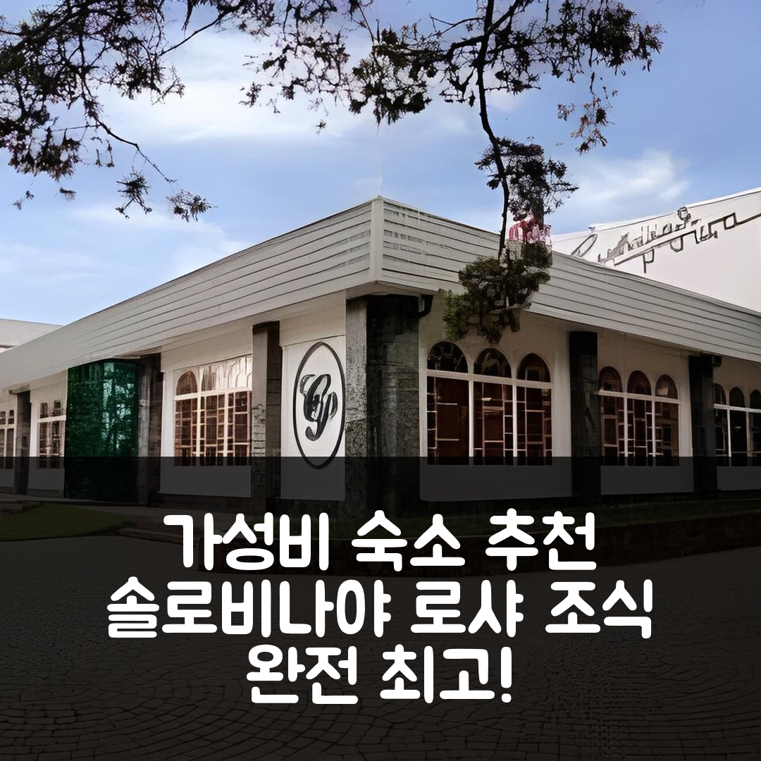 쿠르스크 숙소 여행 호텔 추천 솔로비나야 로샤 호텔 | 가성비와 조식이 뛰어난 5가지 이유