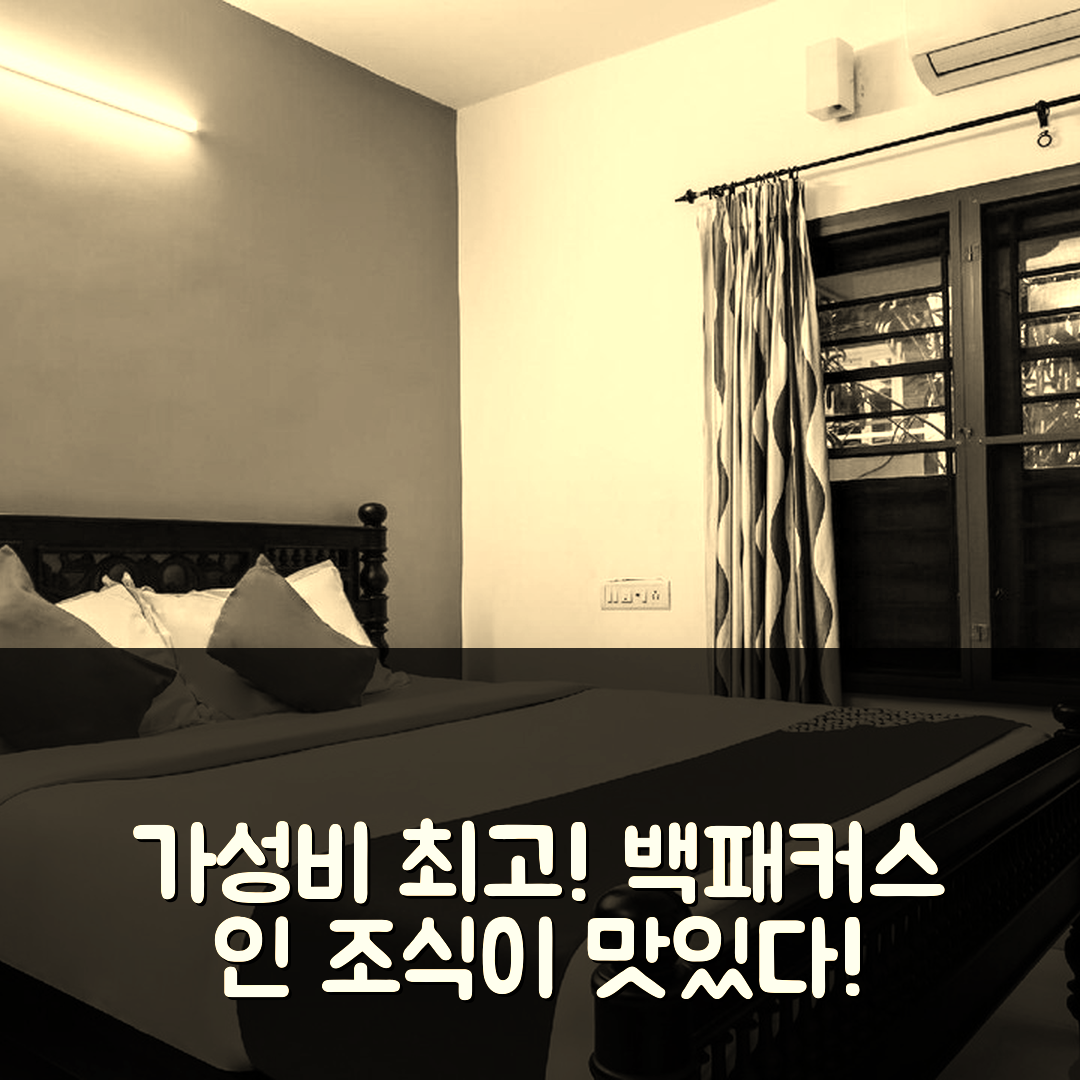 코치 숙소 여행 호텔 추천 오요 60256 백패커스 인 | 가성비와 조식이 뛰어난 5가지 이유