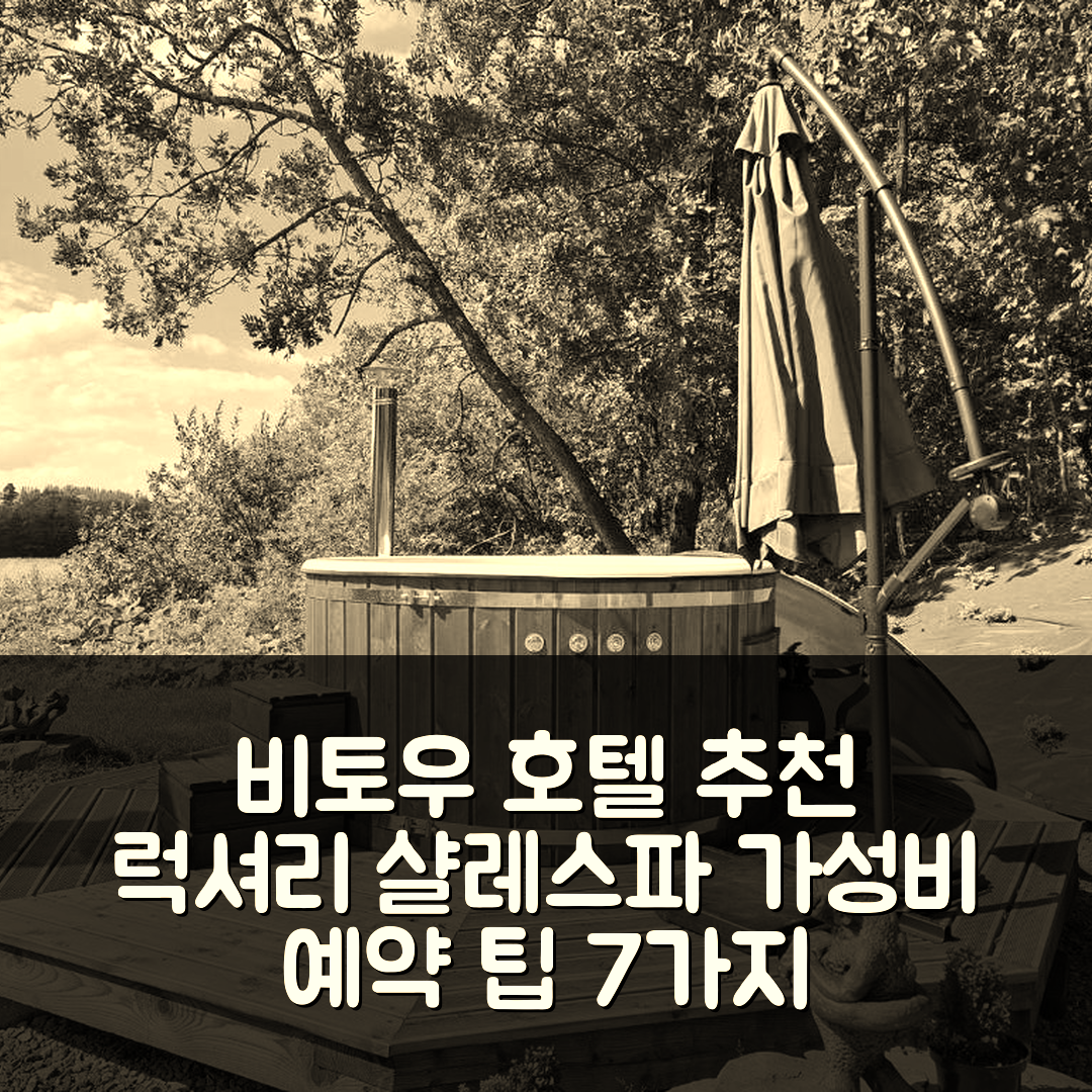 비토우 숙소 여행 호텔 추천 자비에 도르키 비토우 럭셔리 샬레 앤 스파 | 5성급 조식과 편안한 위치, 가성비 좋은 예약 팁 7가지