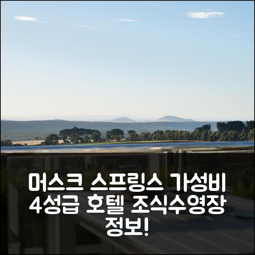 머스크 숙소 여행 호텔 추천 머스크 스프링스 | 가성비 뛰어난 4성급 조식과 수영장 정보 5가지