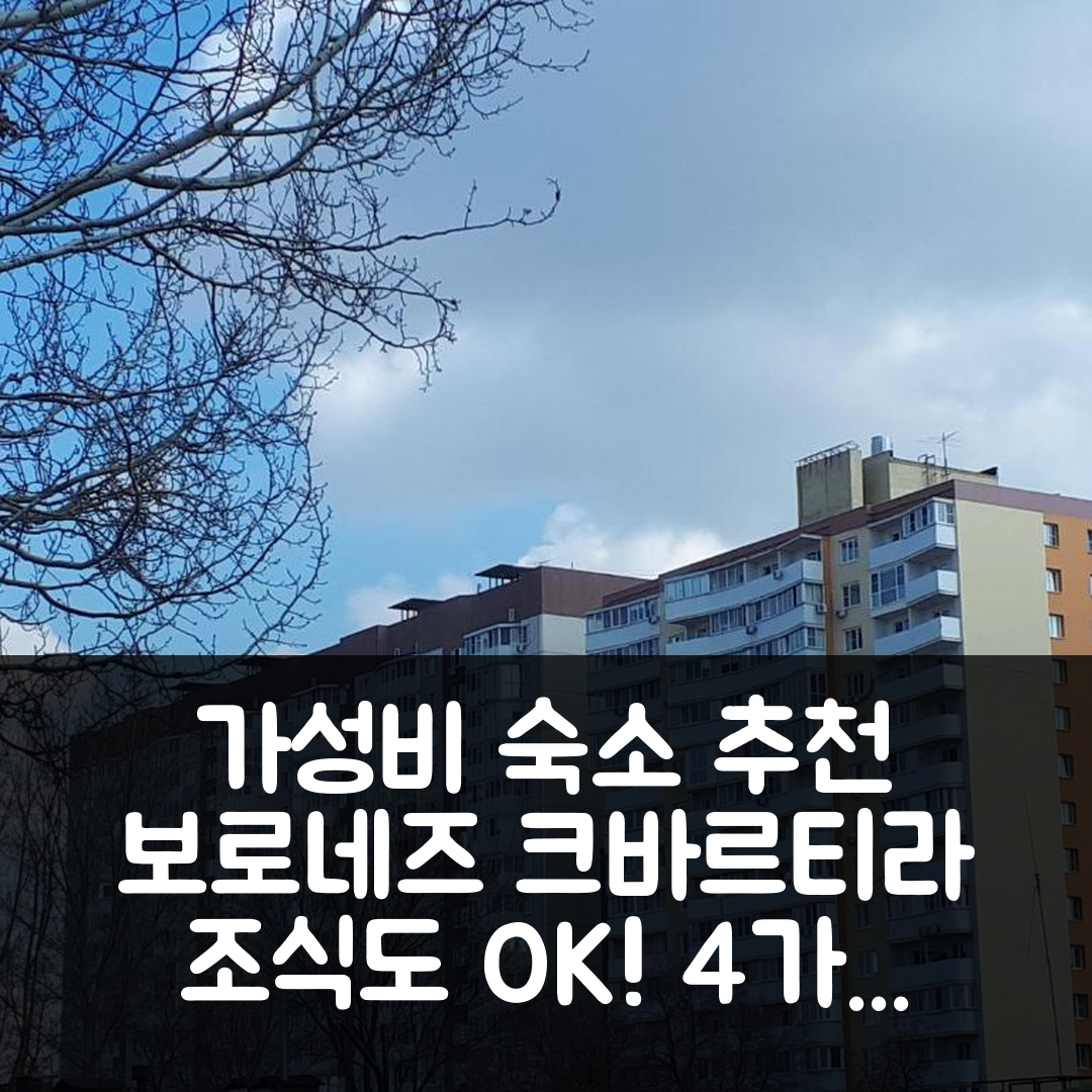 보로네즈 숙소 여행 호텔 추천 크바르티라-스투디야 | 가성비 좋은 4가지 이유와 조식 정보