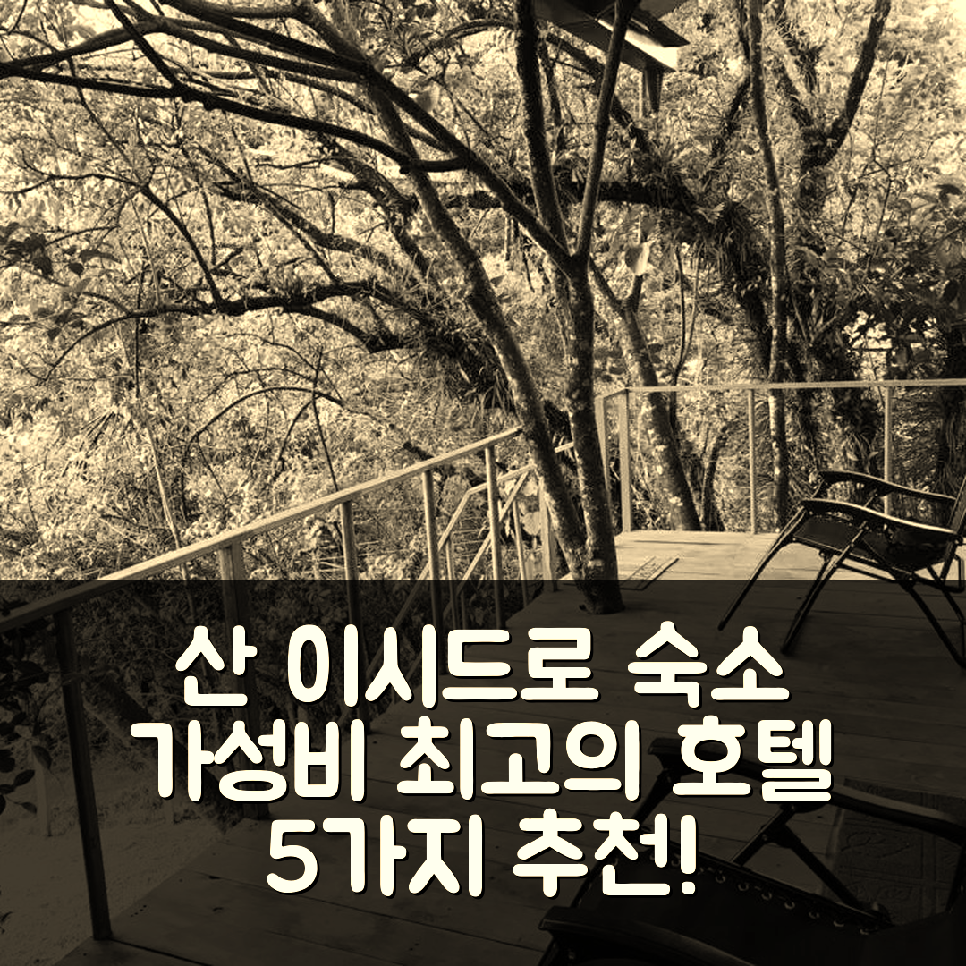 산 이시드로 숙소 여행 호텔 추천 카바나 트리하우스 마운틴 뷰 | 조식과 최고의 위치로 가성비 좋은 5가지 이유