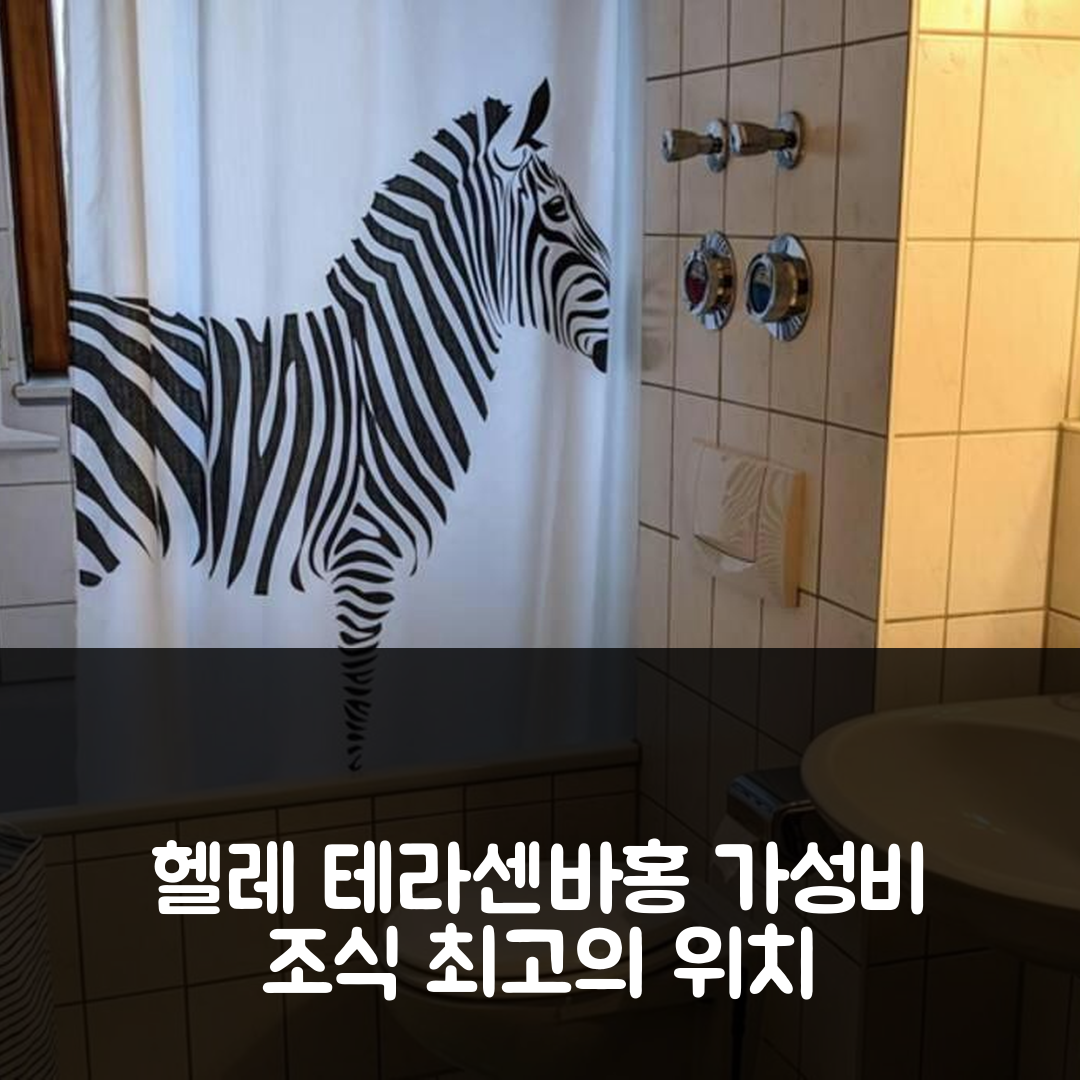 누르틴겐 숙소 여행 호텔 추천 헬레 테라센바홍 암 발르단드 | 가성비 뛰어난 조식과 위치가 매력적인 5가지 장점