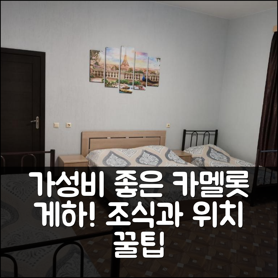 예이스크 숙소 여행 호텔 추천 게스트하우스 카멜롯 | 가성비 뛰어난 조식과 위치 정보 5가지 팁