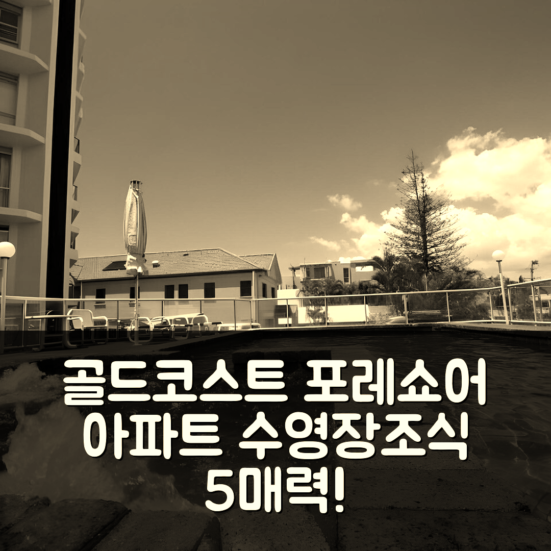 골드코스트 숙소 여행 호텔 추천 포레쇼어 아파트먼트 | 수영장과 조식이 빛나는 5가지 매력 포인트