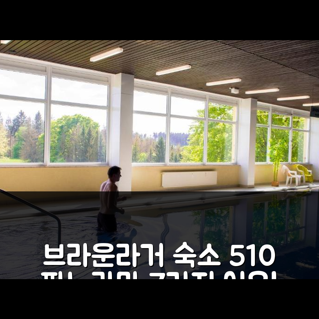 브라운라거 숙소 여행 호텔 추천 앱 510 파노라믹 호헤가이츠 | 멋진 전망과 조식, 가성비 뛰어난 7가지 이유