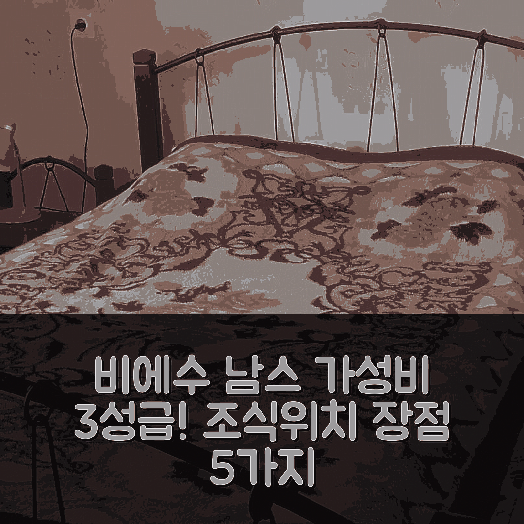 탈시 숙소 여행 호텔 추천 비에수 남스 비즈불리테스 | 가성비 뛰어난 3성급 조식과 위치 장점 5가지