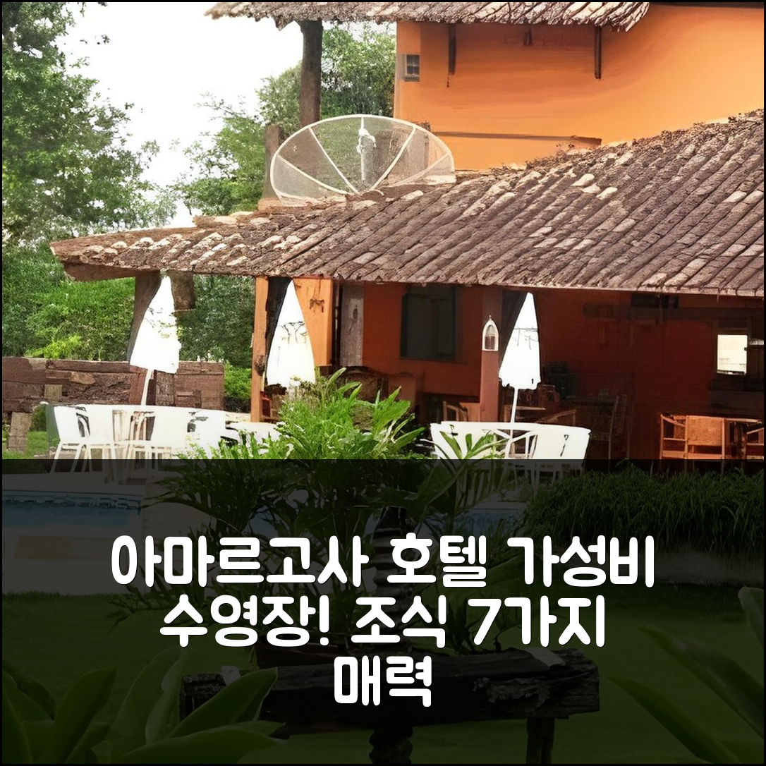 아마르고사 숙소 여행 호텔 추천 콜리브리 호텔 | 가성비 뛰어난 수영장과 조식 7가지 매력 포인트