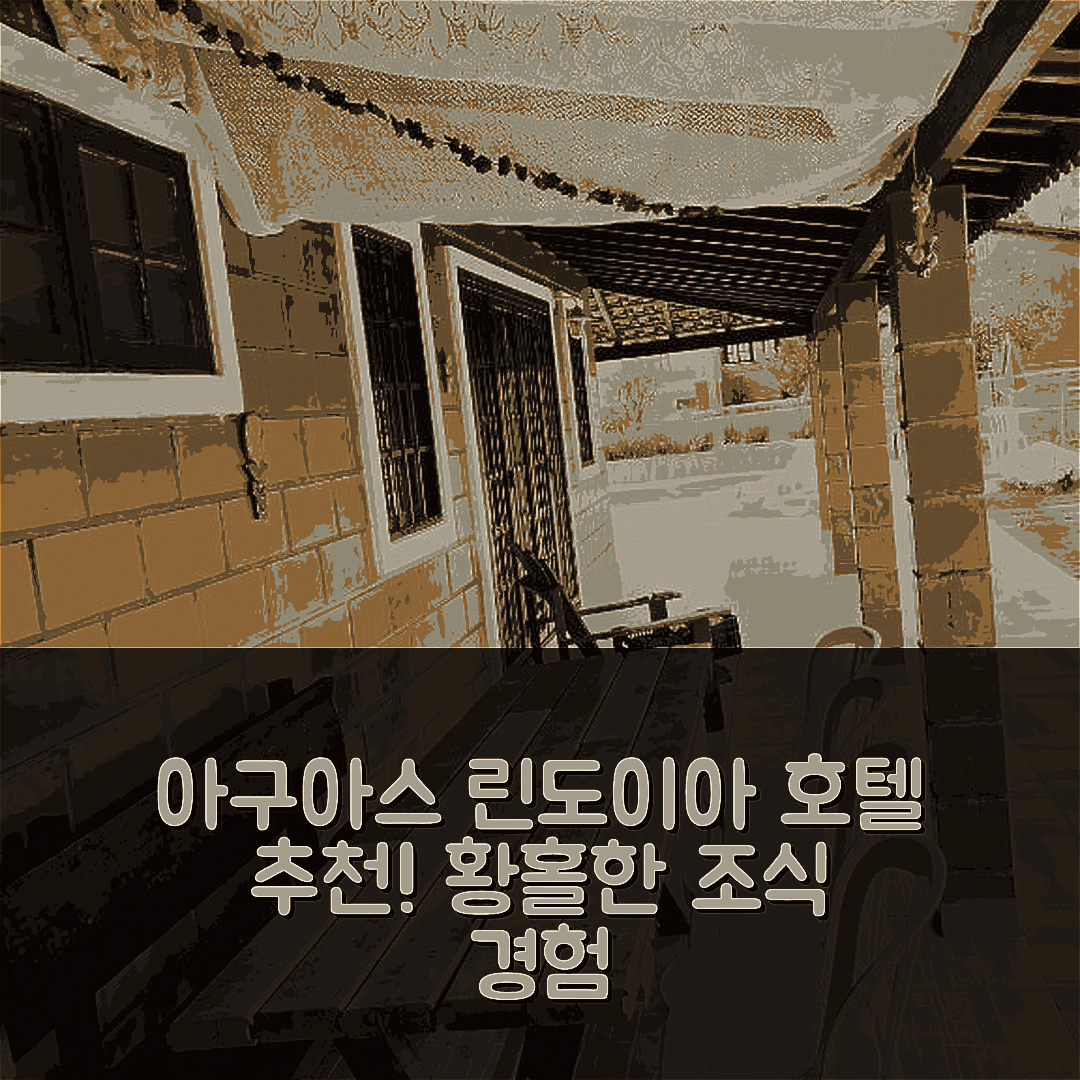 아구아스 데 린도이아 숙소 여행 호텔 추천 아콘체구 나 몽타냐 | 5가지 이유로 매력적인 위치와 조식 경험하기