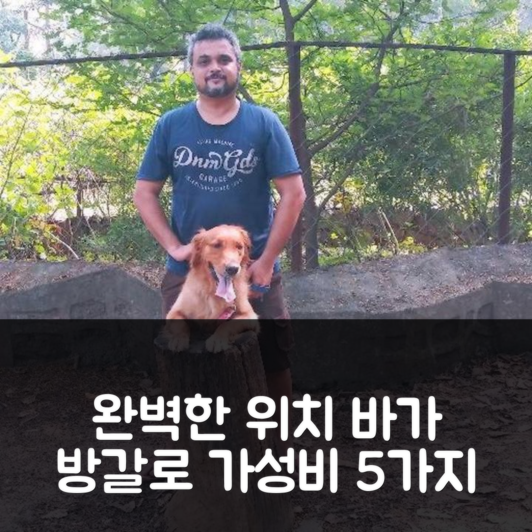 고아 숙소 여행 호텔 추천 바가의 방갈로 | 2베드룸 3욕실 완벽한 위치와 가성비 정보 5가지