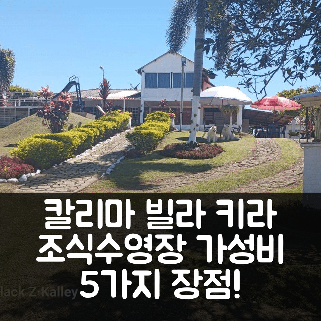 칼리마 숙소 여행 빌라 키라 호텔 추천 빌라 키라 | 조식과 수영장으로 즐기는 가성비 5가지 장점