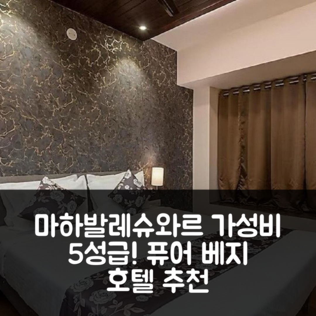 마하발레슈와르 숙소 여행 호텔 추천 퓨어 베지 호텔 | 가성비 뛰어난 5성급 조식과 완벽한 위치 확인 7가지