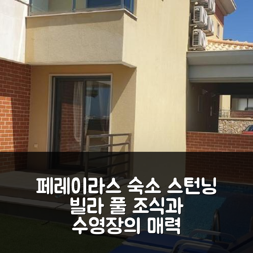 페레이라스 숙소 여행 호텔 추천 스턴닝 빌라 위드 풀 | 조식과 수영장으로 즐길 수 있는 7가지 매력