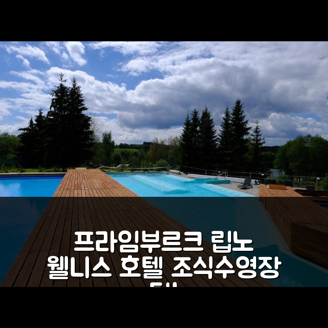 프라임부르크 숙소 여행 호텔 추천 립노 웰니스 호텔 | 4성급 조식과 수영장 비용 및 예약 팁 5가지