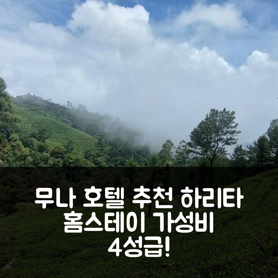 무나 숙소 여행 호텔 추천 하리타 홈스테이 | 조식과 가성비 뛰어난 4성급의 완벽한 선택 7가지 팁