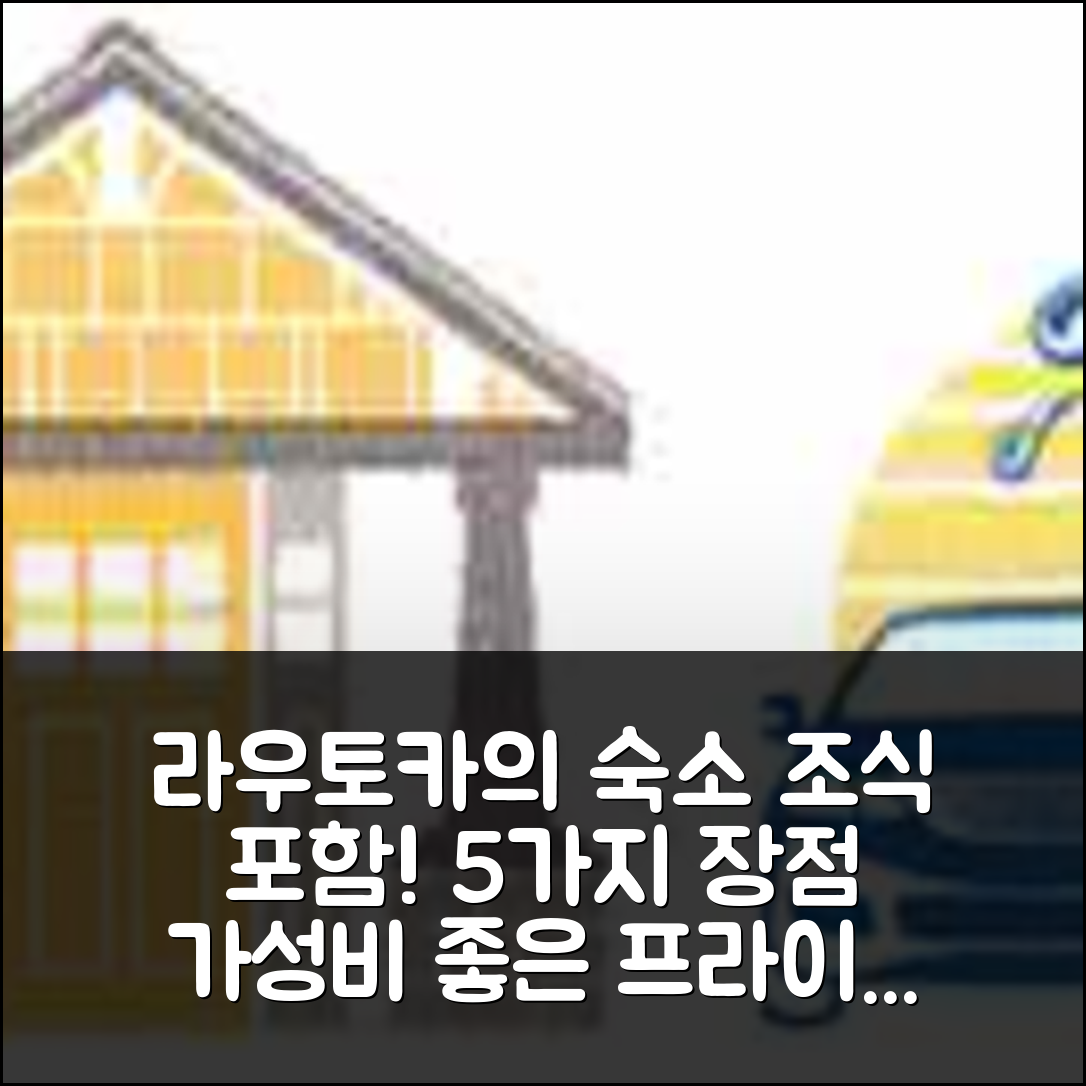 라우토카 숙소 여행 호텔 추천 라우토카의 프라이빗 하우스 | 3개 침실과 1개 욕실의 가성비 좋은 조식 포함 숙소 5가지 장점