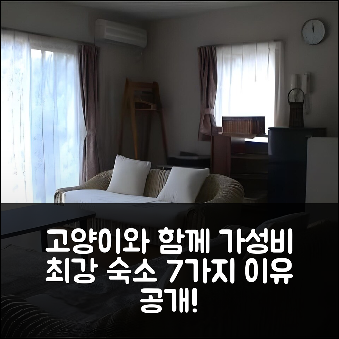 이즈 숙소 여행 호텔 추천 펜션 카와즈노사토 | 고양이들과 함께하는 가성비 최강 조식과 편안한 위치 7가지 이유